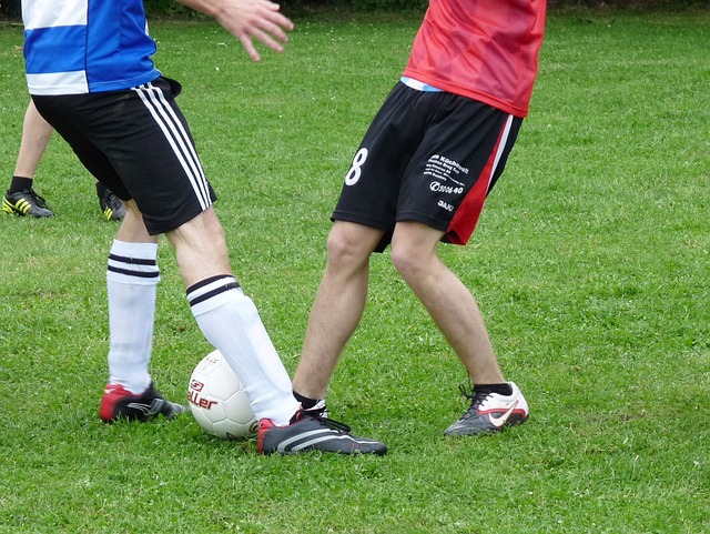 为中国的粮 为中国的粮