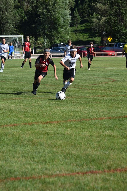 在分析战术 在分析战术