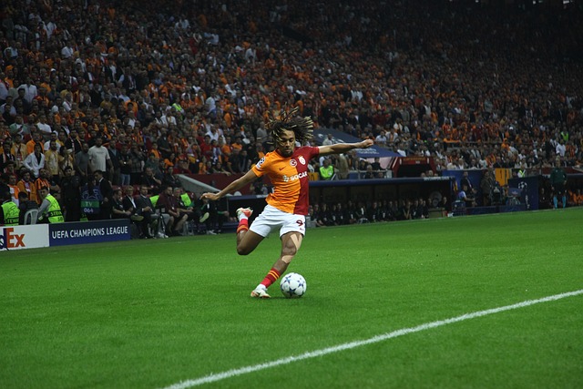 赛的争夺中 赛的争夺中