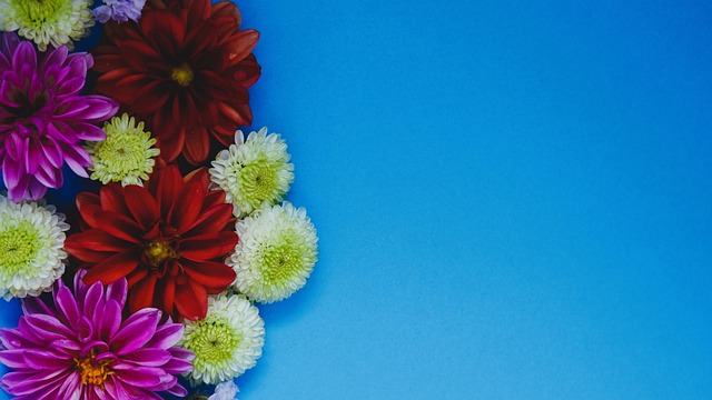 才能在新赛 才能在新赛