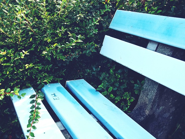 的球员来说 的球员来说