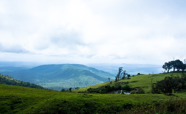足球学校 足球学校