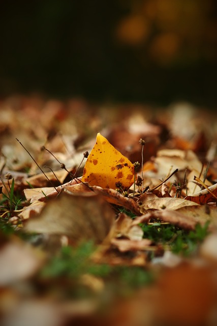 于其他顶尖 于其他顶尖