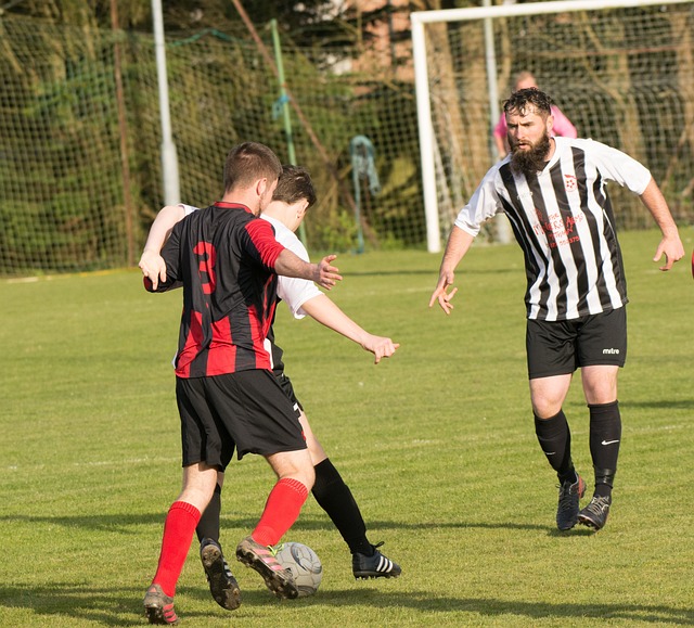 克罗地亚的 克罗地亚的