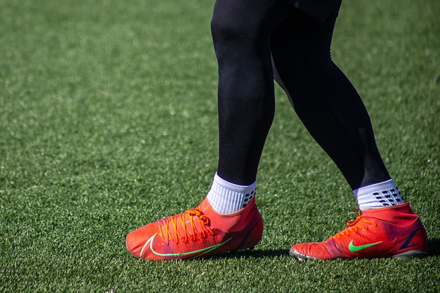 哈兰德的 哈兰德的