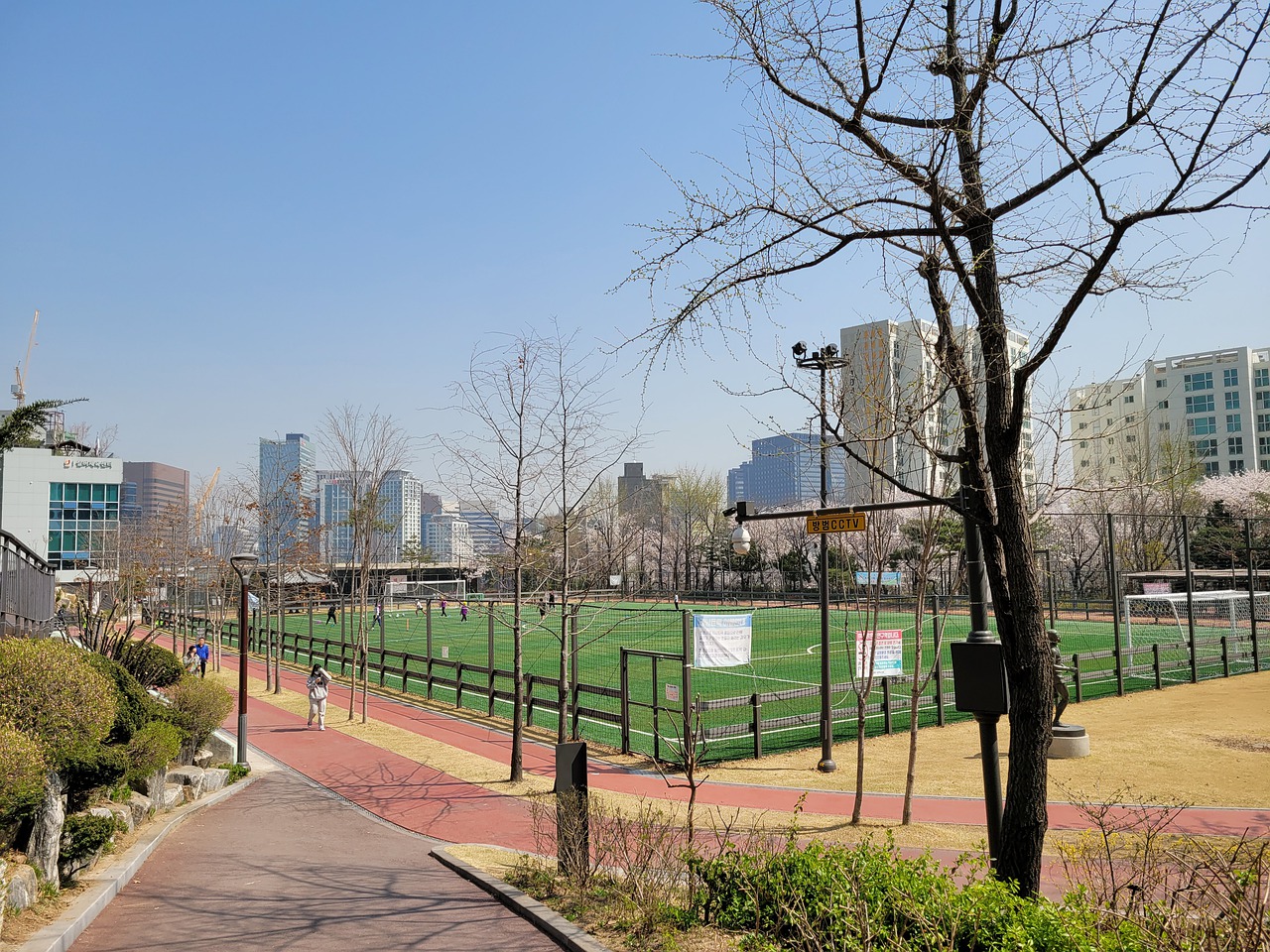 的运动员更 的运动员更