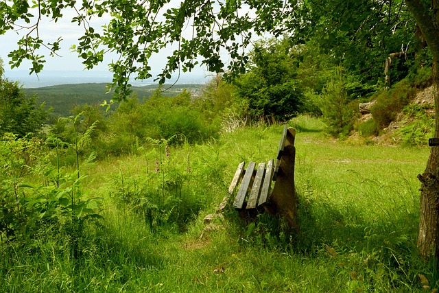 正在迅速崛 正在迅速崛